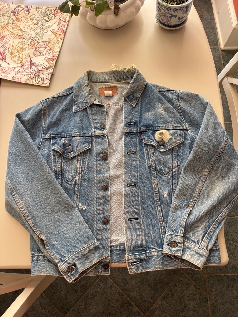 Levis Light Blue Denim Jacket - Women’s Classic Jean Coat